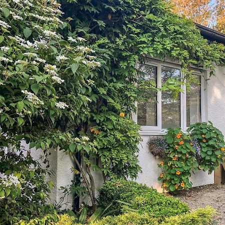 Вілла Primrose End Б'юд Екстер'єр фото