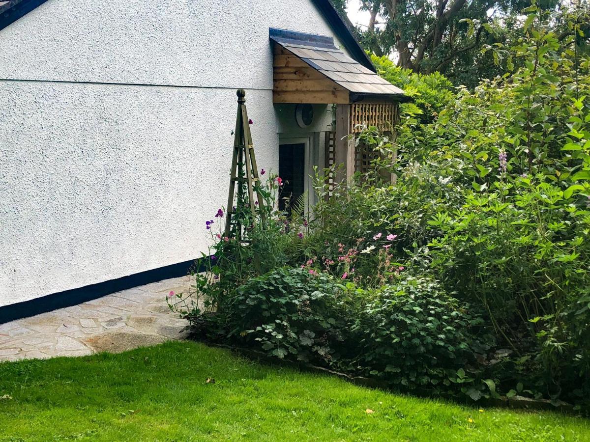 Вілла Primrose End Б'юд Екстер'єр фото